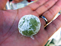 R0025313_20120629223437.jpg