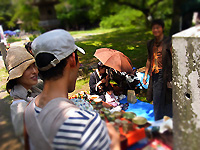 R0025326.jpg