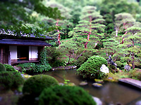 R0026029_20120825132431.jpg