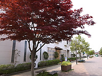 R0038319b.jpg