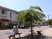 R0038942b.jpg