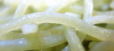 R0039514ccc.jpg