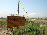 R0039984.jpg