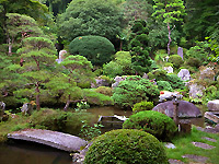 R0040422.jpg