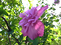 R0046321.jpg