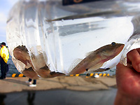 R0046940.jpg