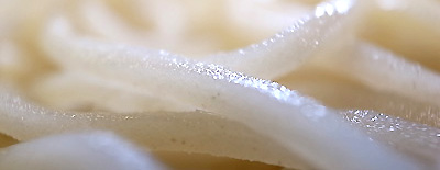R0047042c.jpg