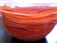 R0047798.jpg