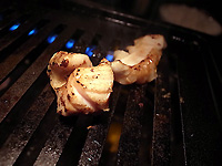 R0048448.jpg