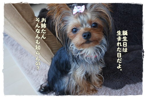 そんなんも知らんの?