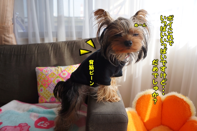 ぬーん