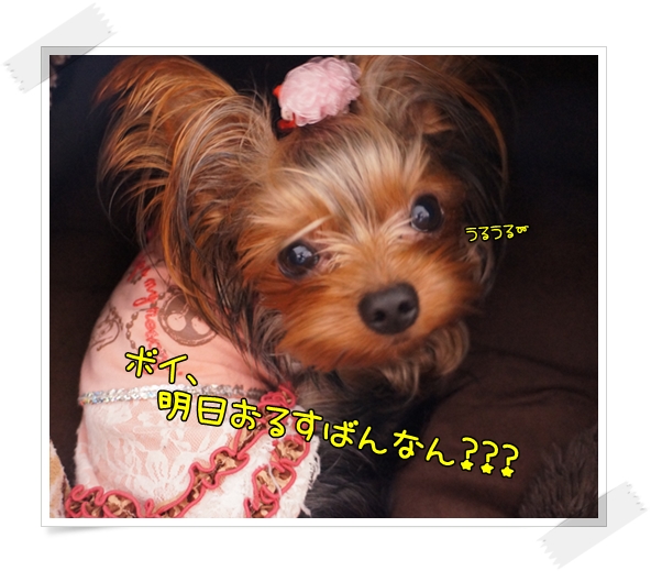 うるうる