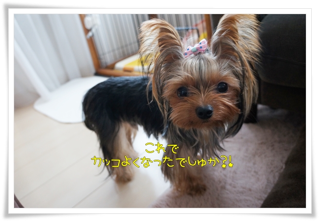 カッコよくなった?