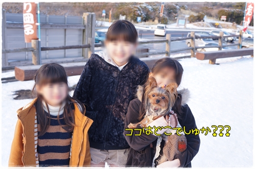 ココはどこ?