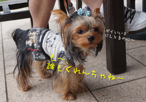 愚痴るボイ君