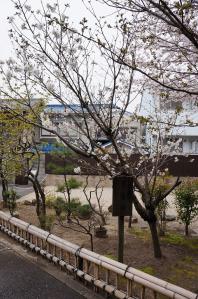 DSC04987.jpg
