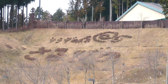 P008.jpg