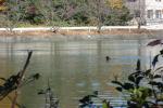 014_convert_20121201131151.jpg