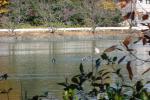 015_convert_20121201133427.jpg
