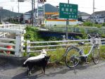 富士橋