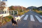 犬山市長者町団地近くの新郷瀬川堤