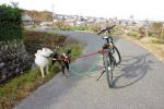 新しい自転車で(帰り道)