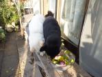 いい匂いがしますか?