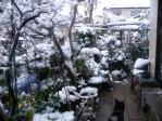 1210庭の積雪