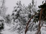 団地東野原 雪景色