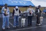 全犬最優秀賞揃 (牝;結衣 牡;北海嵐)s