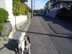 DSC00587.jpg