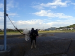 DSC00589.jpg