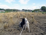 DSC00592.jpg