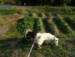 DSC00596.jpg