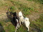 DSC00597.jpg