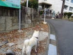 DSC00601.jpg