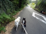 DSC00602.jpg