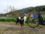 DSC00723s.jpg