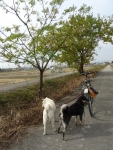 DSC00728s.jpg