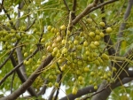 DSC00729s.jpg