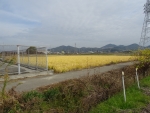 DSC00730s.jpg