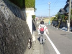 DSC00736S.jpg
