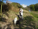DSC00738S.jpg