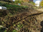 DSC00750bs.jpg
