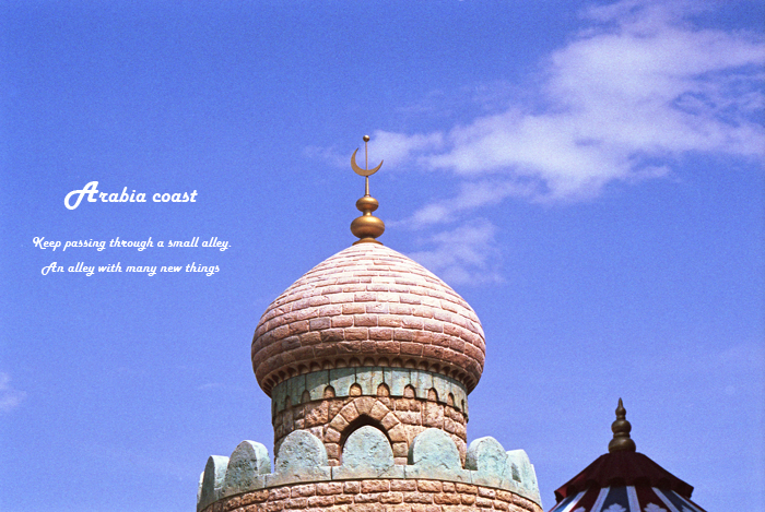 Arabia coast 21