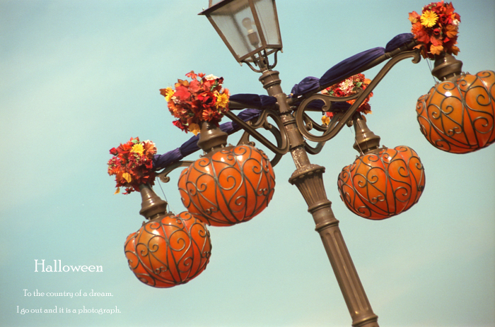 Halloween6_20121006171018.jpg