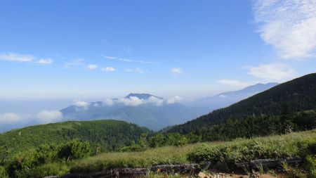 DSC00436_450.jpg