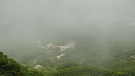 DSC00637_450.jpg