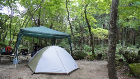DSC00840_450.jpg