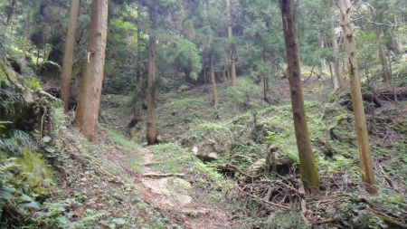 DSC01086_450.jpg